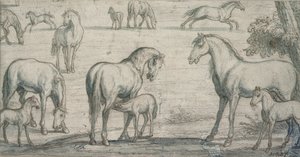 馬と子馬、17世紀（デッサン） 作： Francis Barlow
